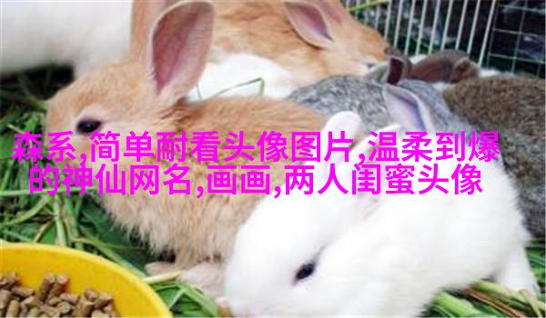 00后闺蜜头像最新版动漫(精选16张)
