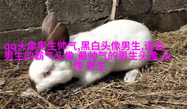 帅气超拽的男生qq头像图片(18张)