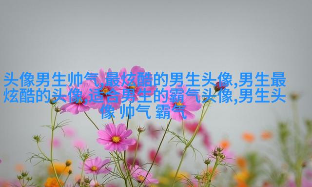 2023年最火爆的男生头像(24张)