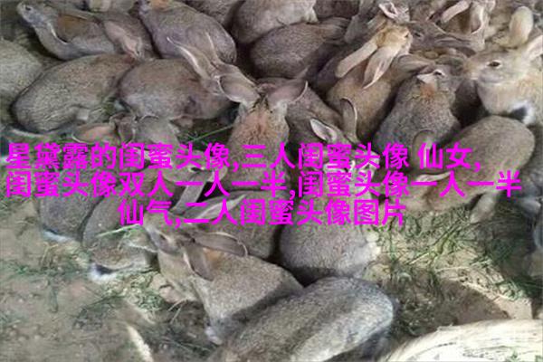 姐妹专属空间头像一对两张