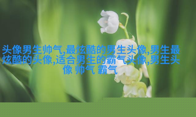 2023年最火爆的男生头像(24张)